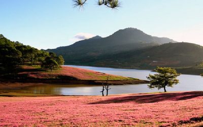 Tour Du Lịch Đà Lạt 1 Ngày : Check In Các Địa Điểm Hot tại Đà Lạt