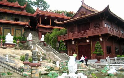 VCA01AG-SMI: Tour du lịch miền tây 1 ngày từ Cần Thơ: Cần Thơ – Rừng Tràm Trà Sư – Châu Đốc – Cần Thơ