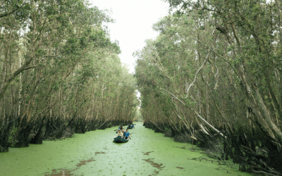 SGN04CM-BMM: Tour Miền Tây 4N3Đ: Sài Gòn – Mỹ Tho – Bến Tre – Châu Đốc – Cần Thơ – Cà Mau – Bạc Liêu – Sóc Trăng – Sài Gòn