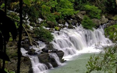 TOUR DU LỊCH BUÔN MA THUỘT 3 NGÀY 2 ĐÊM