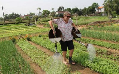 LANTERN MAKING –BE A REAL FARMER AT TRA QUE VILLAGE