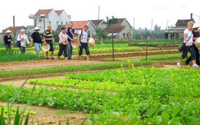 LANTERN MAKING –BE A REAL FARMER AT TRA QUE VILLAGE