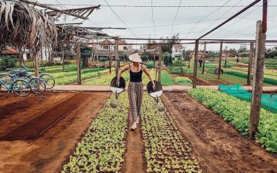 LANTERN MAKING –BE A REAL FARMER AT TRA QUE VILLAGE