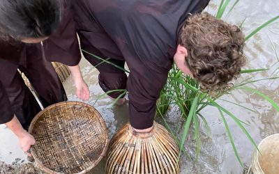 Mekong Delta Tours 2 days 1 night homestay