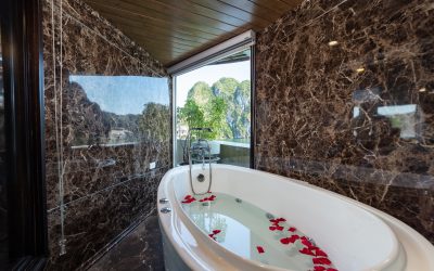 CHƯƠNG TRÌNH 3 NGÀY 2 ĐÊM DU THUYỀN EMOTION – DU THUYỀN NGỦ ĐÊM – KHỞI HÀNH HÀNG NGÀY