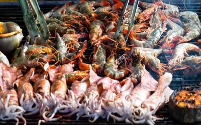 Tour Cắm Trại 2 Ngày 1 Đêm Trên Đảo Hoang