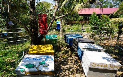 Tour Tham Quan Bắc Đảo – Chèo Thuyền Kayak – Làng Chài Rạch Vẹm – Rừng Nguyên Sinh – Khám Phá Grand Word