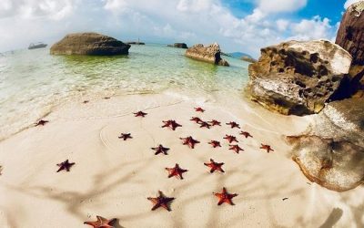 Discover The North – Kayaking – Starfish Beach – National Park – Grand World