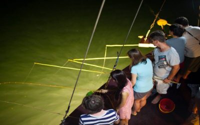 Tour Ngắm Hoàng Hôn Và Câu Mực Đêm