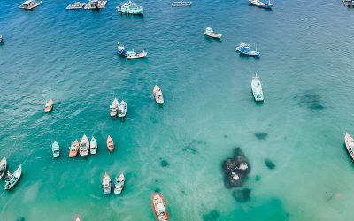 4 Island Trip By Speed Boat