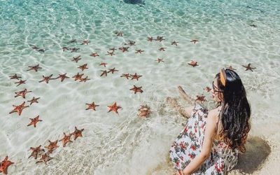 Tour Cáp Treo – Công Viên Nước Aquatopia – Tham Quan Nam Đảo