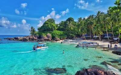 Adventure Day & Night Cruise (Lunch & Dinner)