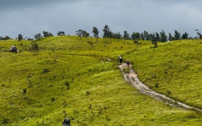 Trekking trail through the hills of Pal Sol