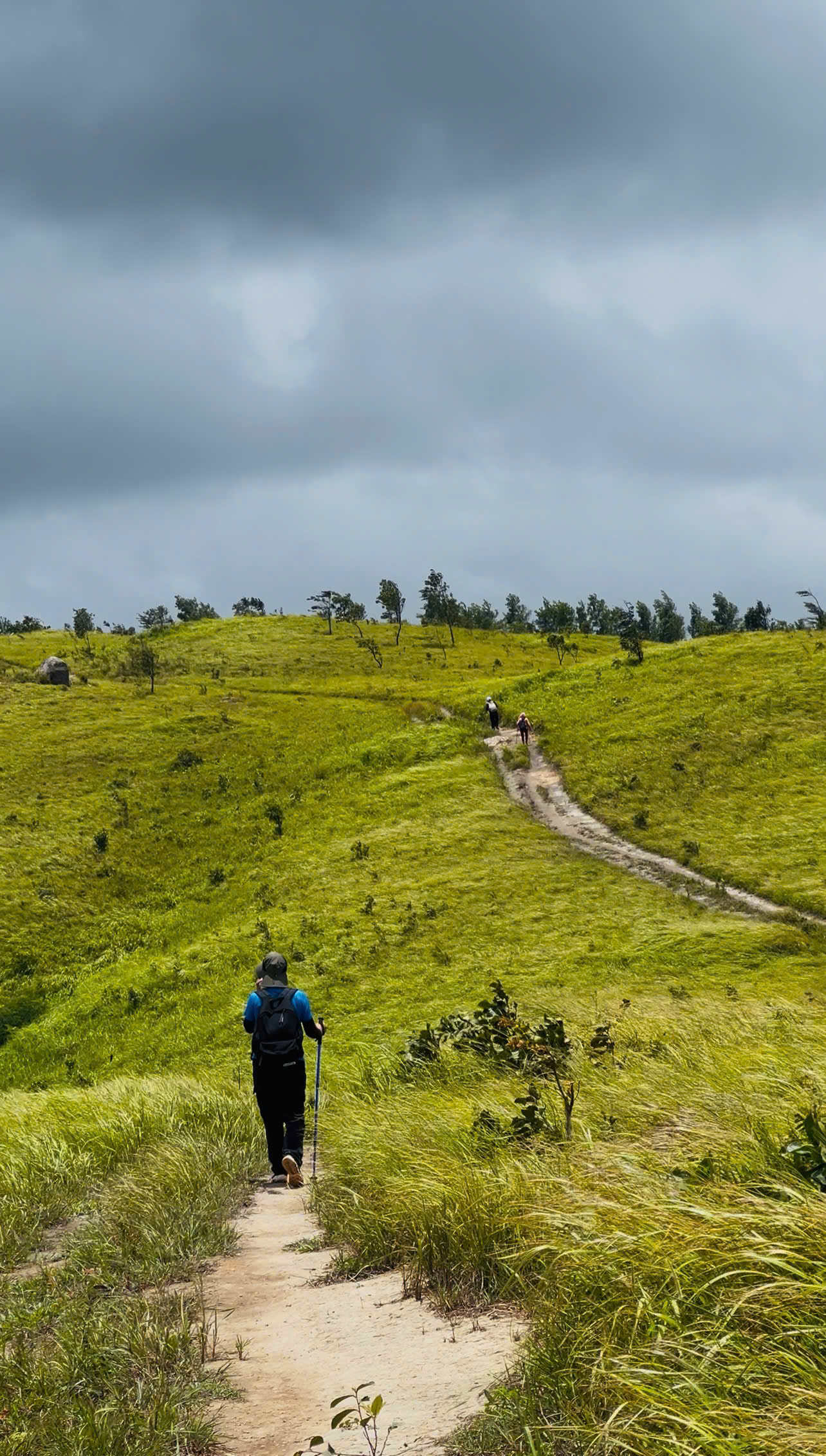 PAL SOL GRASSLAND TREKKING – FULL-DAY TOUR 3 Trekking trail through the hills of Pal Sol