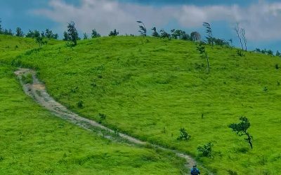 PAL SOL GRASSLAND TREKKING – FULL-DAY TOUR
