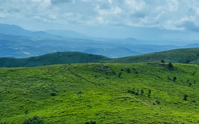 PAL SOL GRASSLAND TREKKING – FULL-DAY TOUR