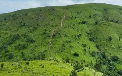 PAL SOL GRASSLAND TREKKING – FULL-DAY TOUR