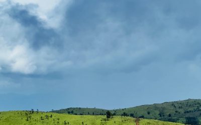 PAL SOL GRASSLAND TREKKING – FULL-DAY TOUR