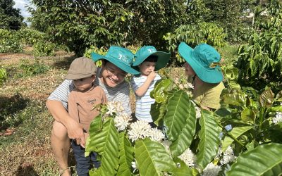 Buôn Ma Thuột City Discovery