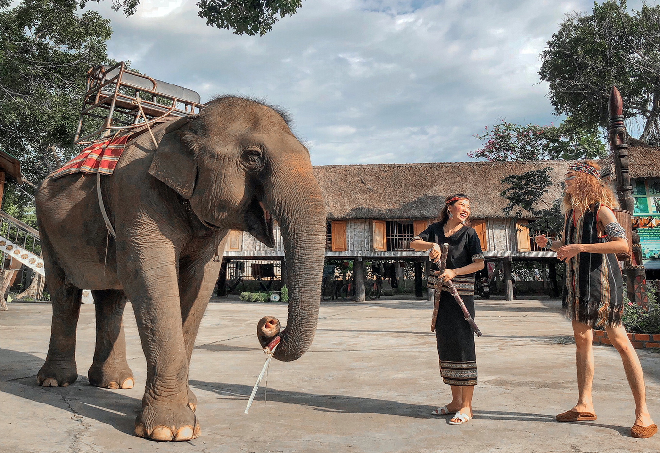 Elephants in Ban Don, Dak Lak